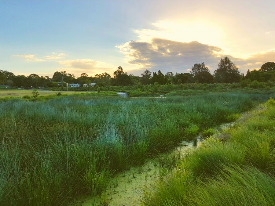 Off-site Stormwater Quality Solutions - Discussion Paper