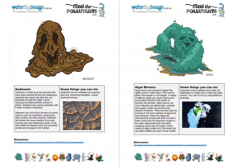 Meet the Pollutants - Factsheet