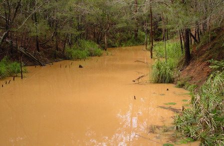 The Case for Best Practice Erosion and Sediment Control Compliance - a SEQ Perspective (2013)