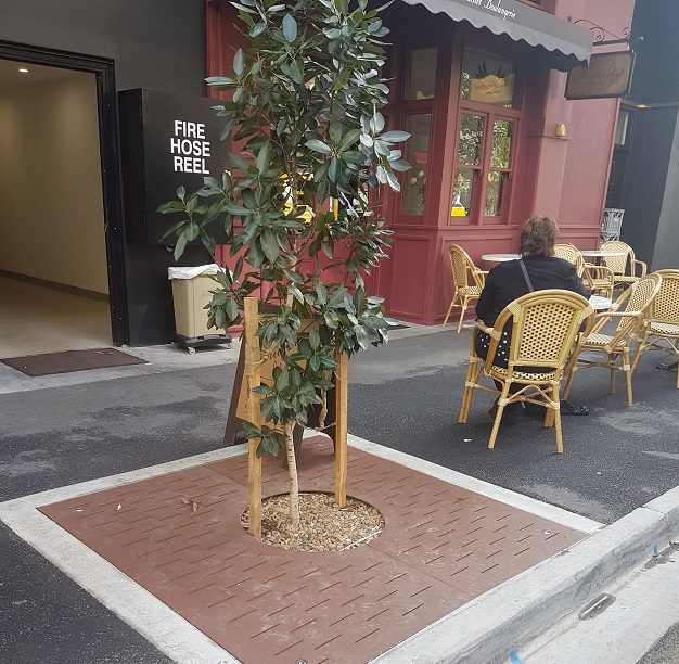 Passively Watered Street Trees