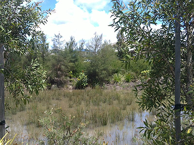 Water Sensitive Urban Design Waterways Creek